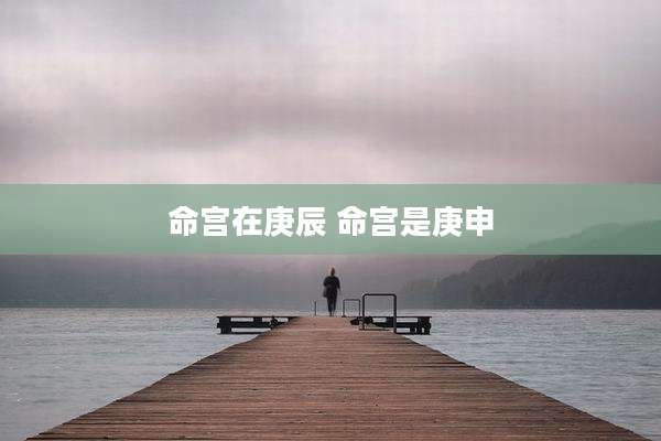 命宫在庚辰 命宫是庚申