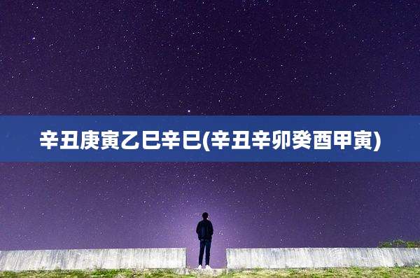 辛丑庚寅乙巳辛巳(辛丑辛卯癸酉甲寅)