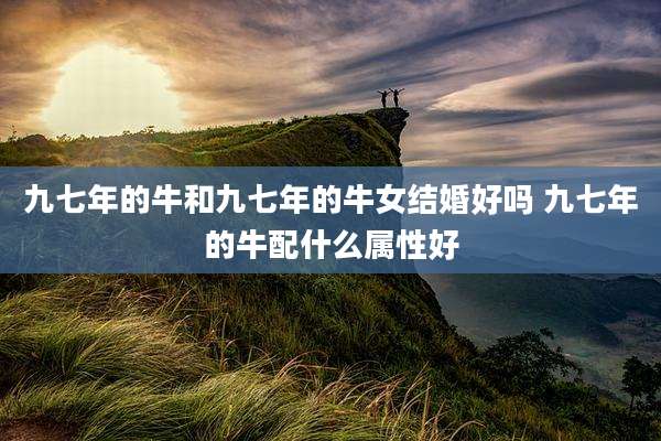 九七年的牛和九七年的牛女结婚好吗 九七年的牛配什么属性好