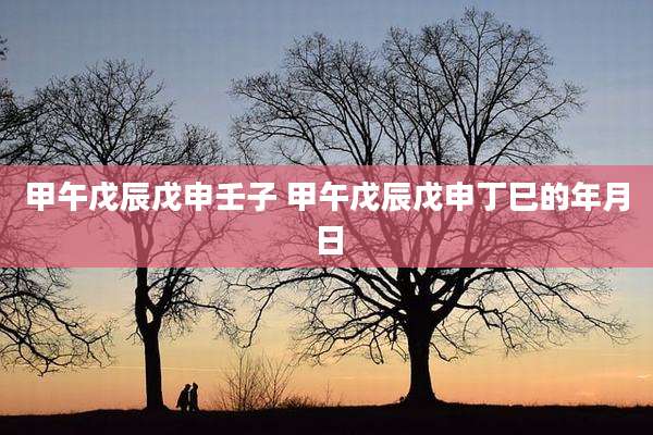 甲午戊辰戊申壬子 甲午戊辰戊申丁巳的年月日