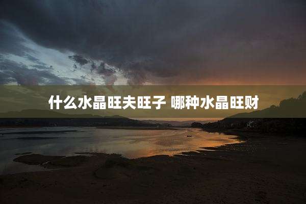 什么水晶旺夫旺子 哪种水晶旺财