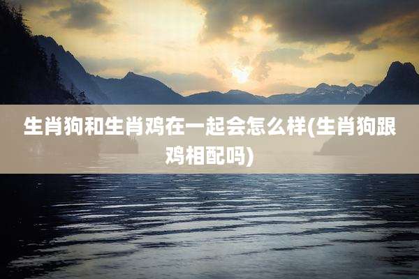生肖狗和生肖鸡在一起会怎么样(生肖狗跟鸡相配吗)