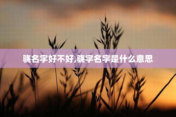 骁名字好不好,骁字名字是什么意思
