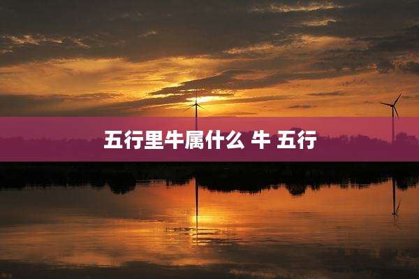 五行里牛属什么 牛 五行