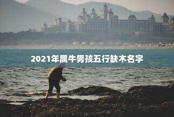 2021年属牛男孩五行缺木名字