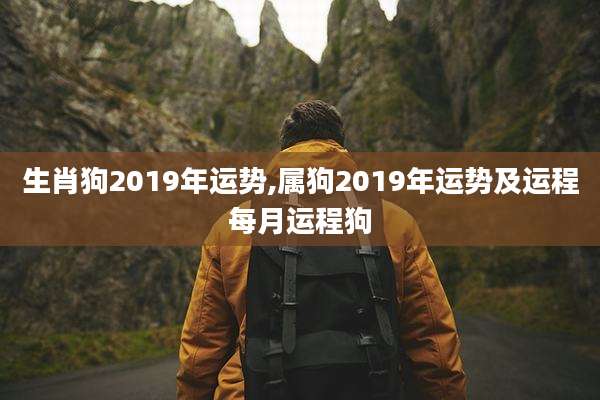 生肖狗2019年运势,属狗2019年运势及运程每月运程狗