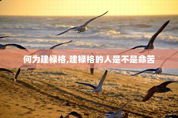 何为建禄格,建禄格的人是不是命苦