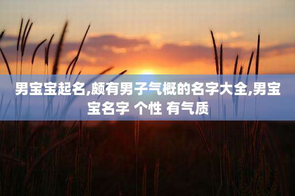 男宝宝起名,颇有男子气概的名字大全,男宝宝名字 个性 有气质