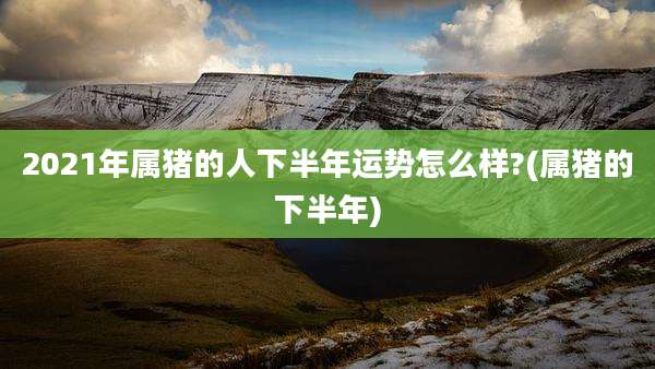 2021年属猪的人下半年运势怎么样?(属猪的下半年)