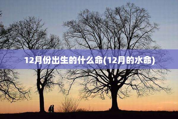 12月份出生的什么命(12月的水命)