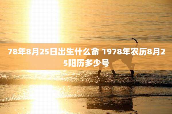 78年8月25日出生什么命 1978年农历8月25阳历多少号