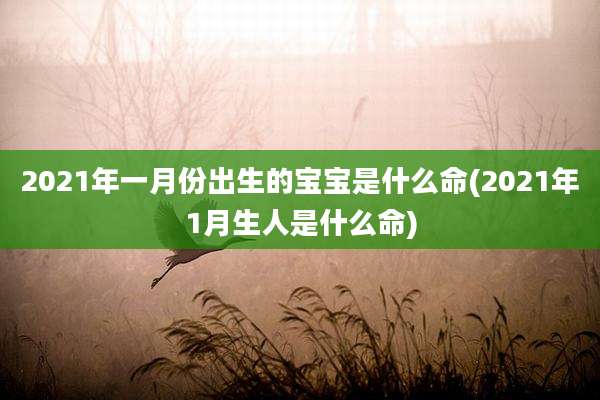 2021年一月份出生的宝宝是什么命(2021年1月生人是什么命)
