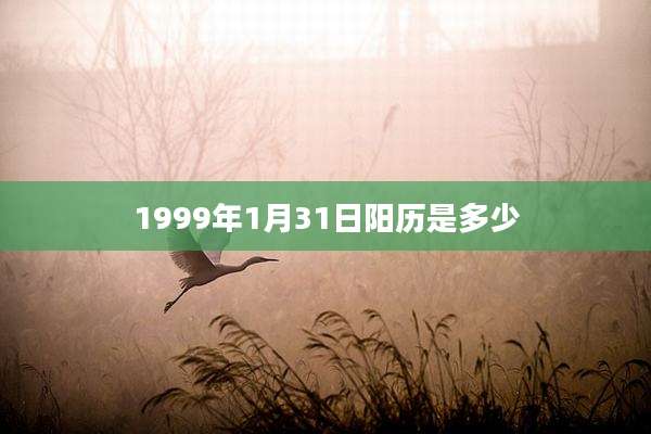 1999年1月31日阳历是多少
