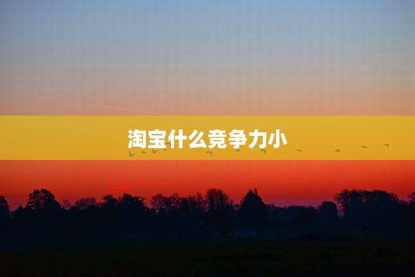 淘宝什么竞争力小