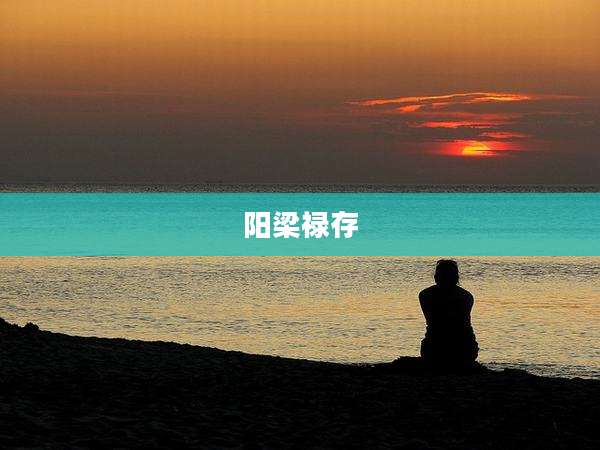 阳梁禄存