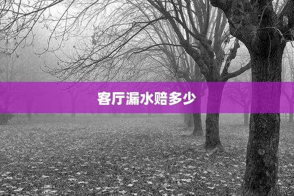 客厅漏水赔多少