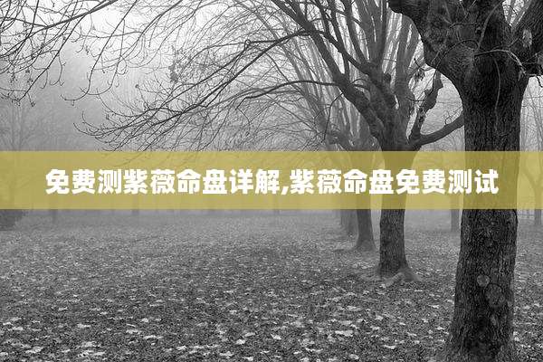 免费测紫薇命盘详解,紫薇命盘免费测试