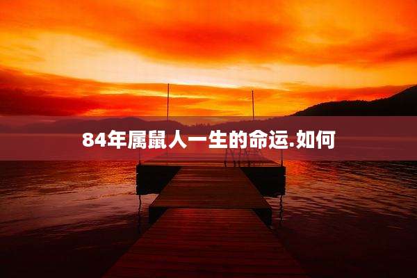 84年属鼠人一生的命运.如何