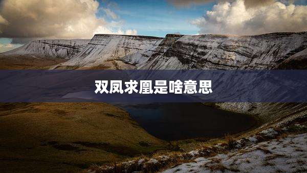 双凤求凰是啥意思