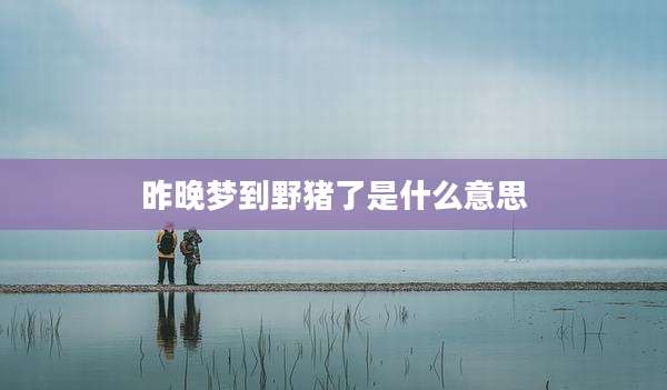 昨晚梦到野猪了是什么意思