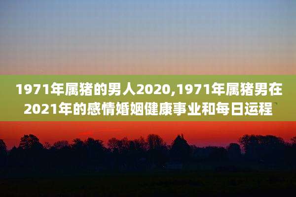 1971年属猪的男人2020,1971年属猪男在2021年的感情婚姻健康事业和每日运程