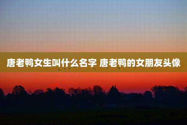 唐老鸭女生叫什么名字 唐老鸭的女朋友头像
