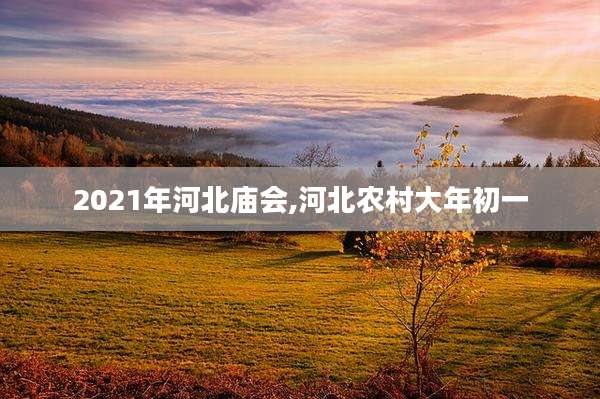 2021年河北庙会,河北农村大年初一