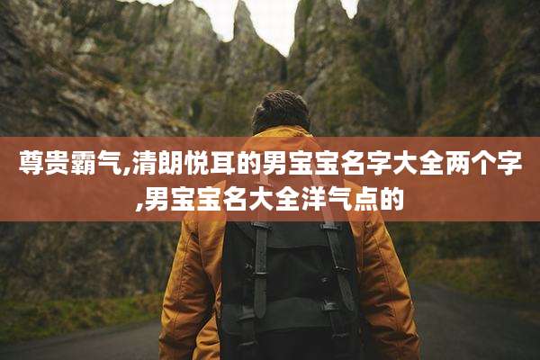 尊贵霸气,清朗悦耳的男宝宝名字大全两个字,男宝宝名大全洋气点的
