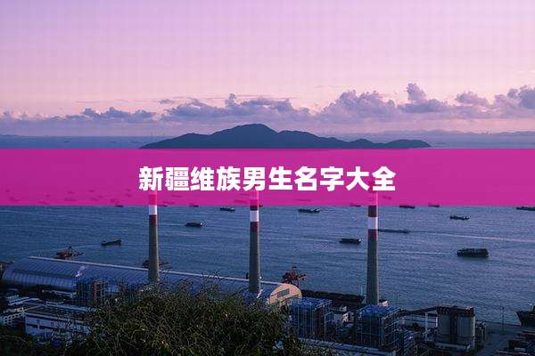 新疆维族男生名字大全