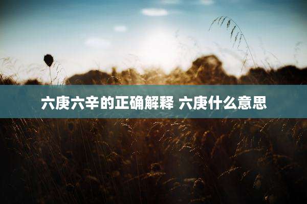 六庚六辛的正确解释 六庚什么意思