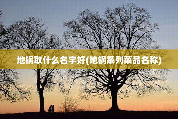 地锅取什么名字好(地锅系列菜品名称)