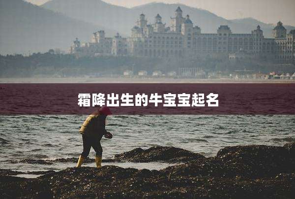 霜降出生的牛宝宝起名