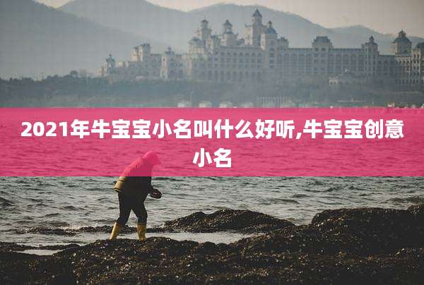 2021年牛宝宝小名叫什么好听,牛宝宝创意小名