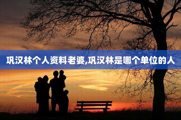 巩汉林个人资料老婆,巩汉林是哪个单位的人