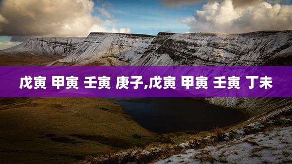 戊寅 甲寅 壬寅 庚子,戊寅 甲寅 壬寅 丁未