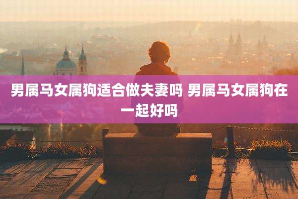 男属马女属狗适合做夫妻吗 男属马女属狗在一起好吗