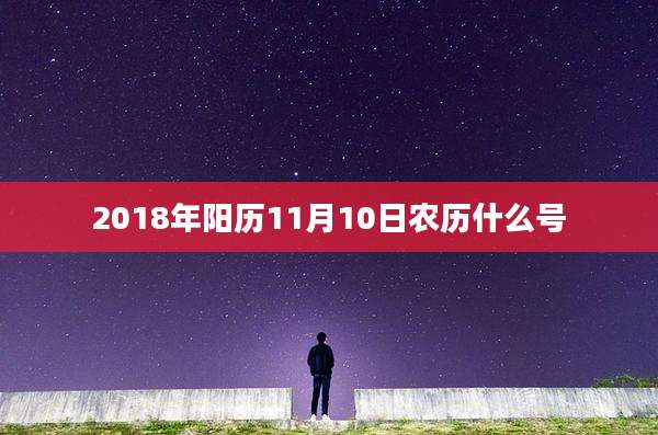 2018年阳历11月10日农历什么号
