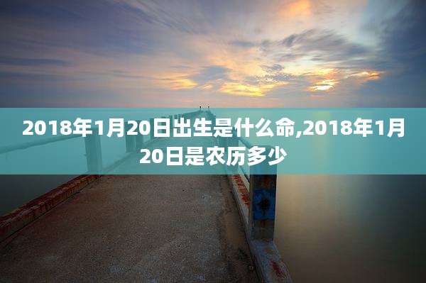2018年1月20日出生是什么命,2018年1月20日是农历多少