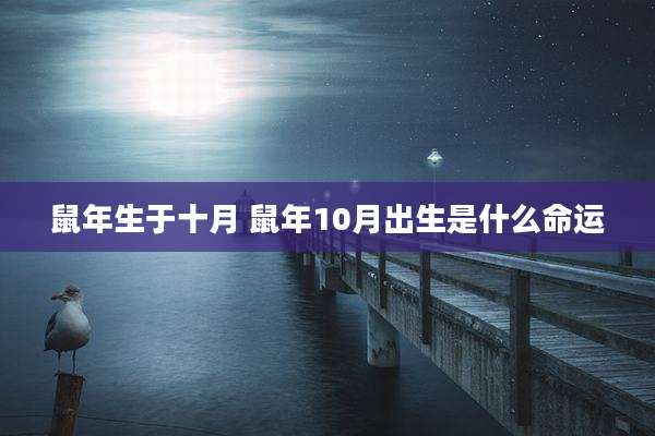 鼠年生于十月 鼠年10月出生是什么命运