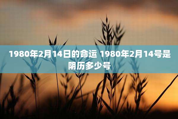 1980年2月14日的命运 1980年2月14号是阴历多少号