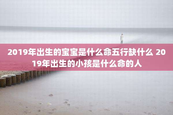 2019年出生的宝宝是什么命五行缺什么 2019年出生的小孩是什么命的人