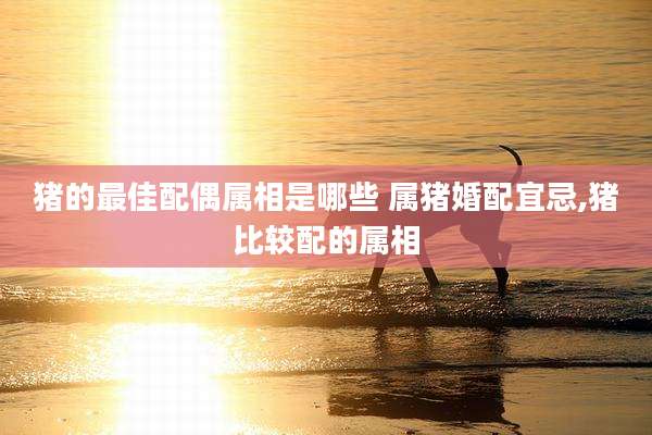 猪的最佳配偶属相是哪些 属猪婚配宜忌,猪比较配的属相
