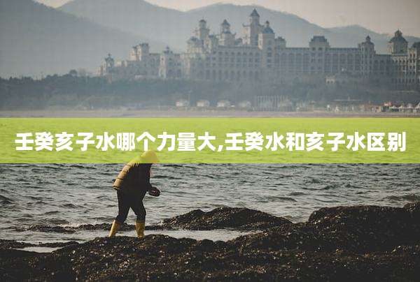壬癸亥子水哪个力量大,壬癸水和亥子水区别