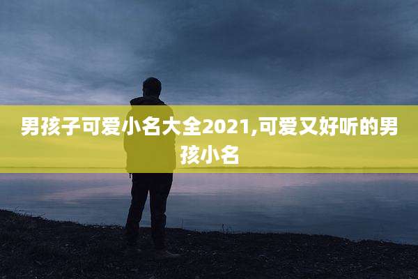 男孩子可爱小名大全2021,可爱又好听的男孩小名
