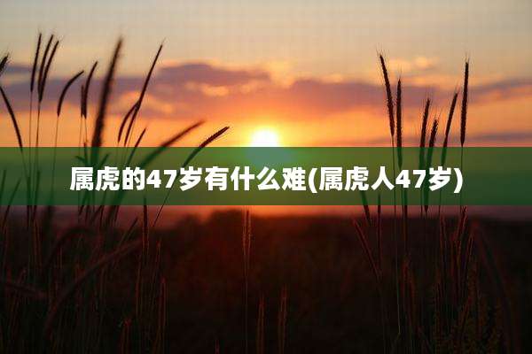 属虎的47岁有什么难(属虎人47岁)