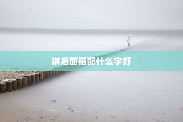 琳后面搭配什么字好
