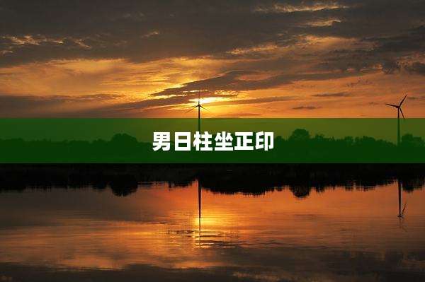 男日柱坐正印
