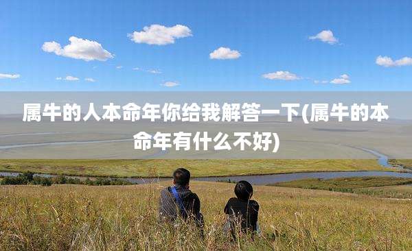 属牛的人本命年你给我解答一下(属牛的本命年有什么不好)