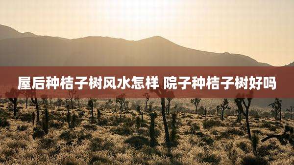 屋后种桔子树风水怎样 院子种桔子树好吗
