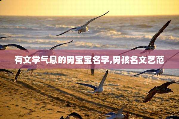 有文学气息的男宝宝名字,男孩名文艺范